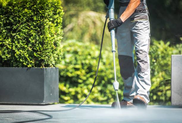 Best Driveway Pressure Washing  in Loyola, CA