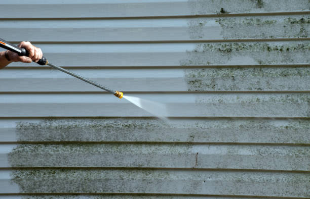 Best Dumpster Area Cleaning  in Loyola, CA